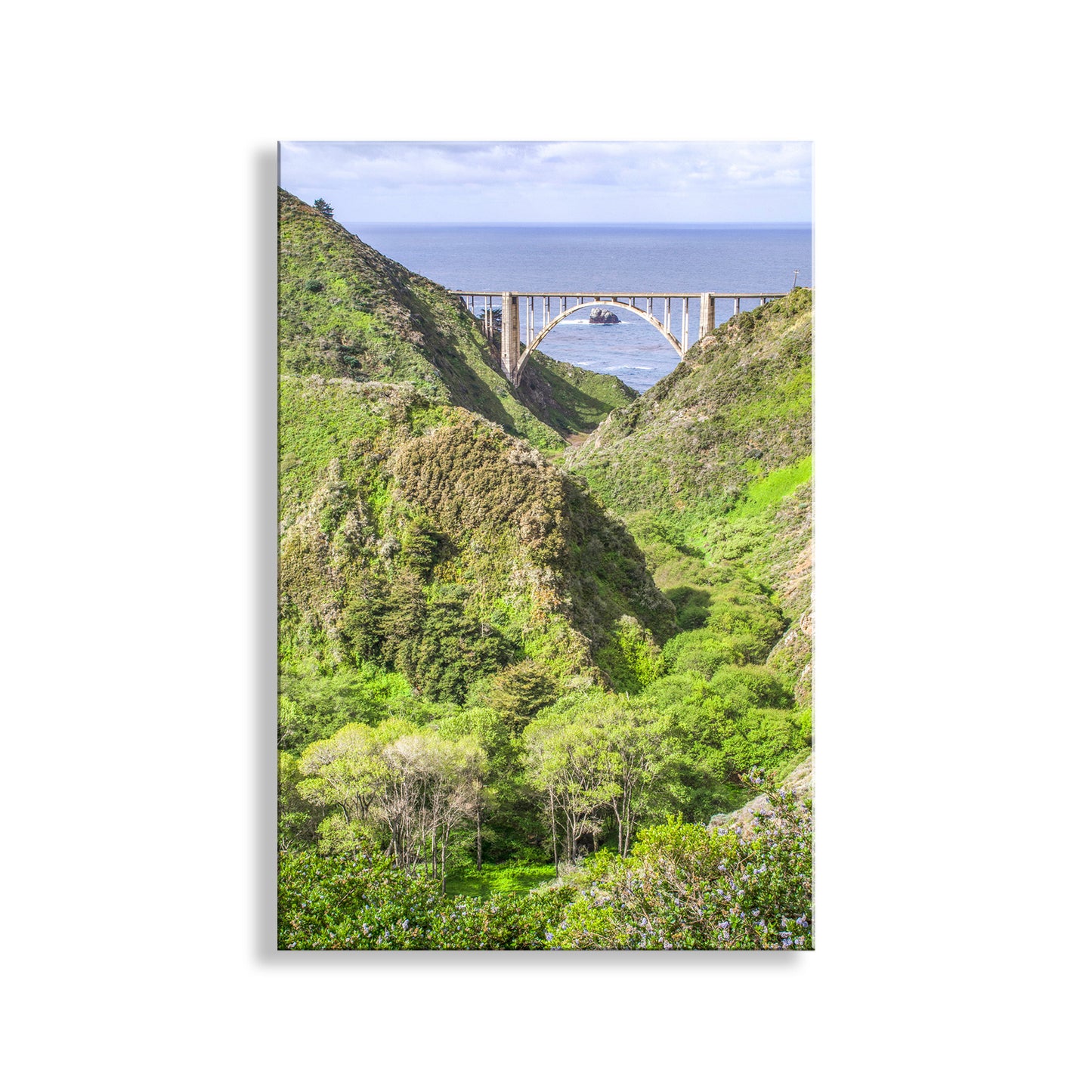Unique, splendid California coastal mountains in springtime, for your viewing pleasure! I love this scene. Original, signed art by Murray Bolesta.