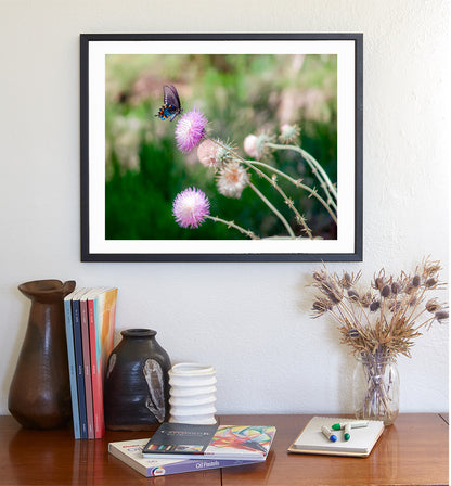 Painterly Butterfly Art Print with Wild Thistle Flowers as Large Nature Decor