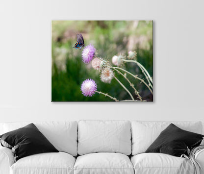 Painterly Butterfly Art Print with Wild Thistle Flowers as Large Nature Decor