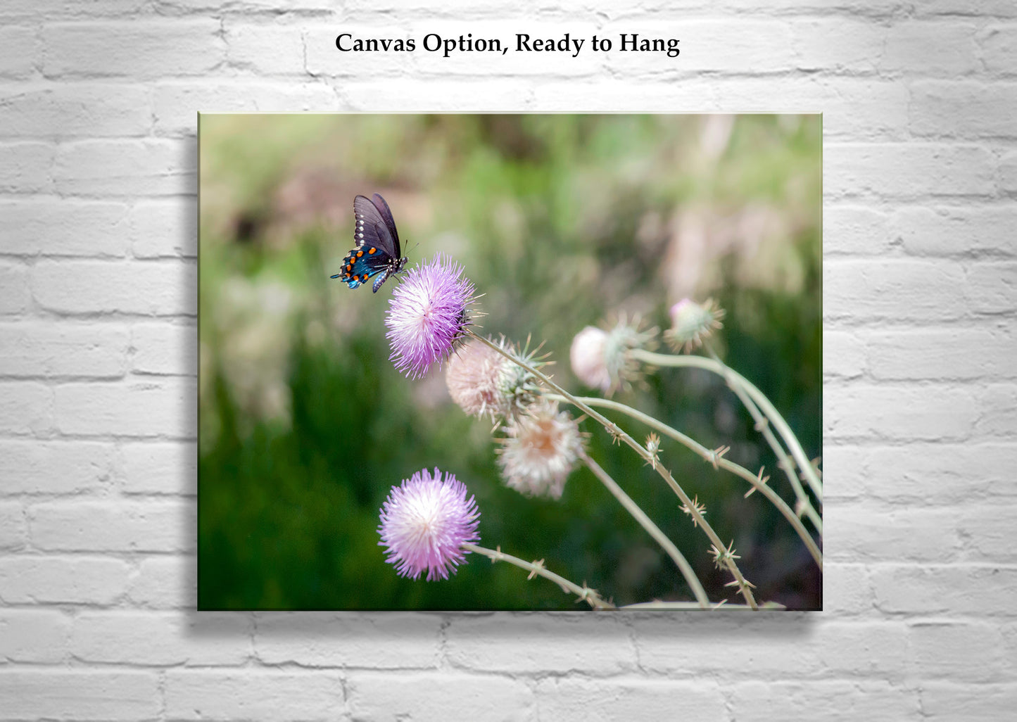 Painterly Butterfly Art Print with Wild Thistle Flowers as Large Nature Decor