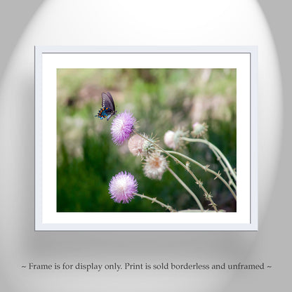 Painterly Butterfly Art Print with Wild Thistle Flowers as Large Nature Decor