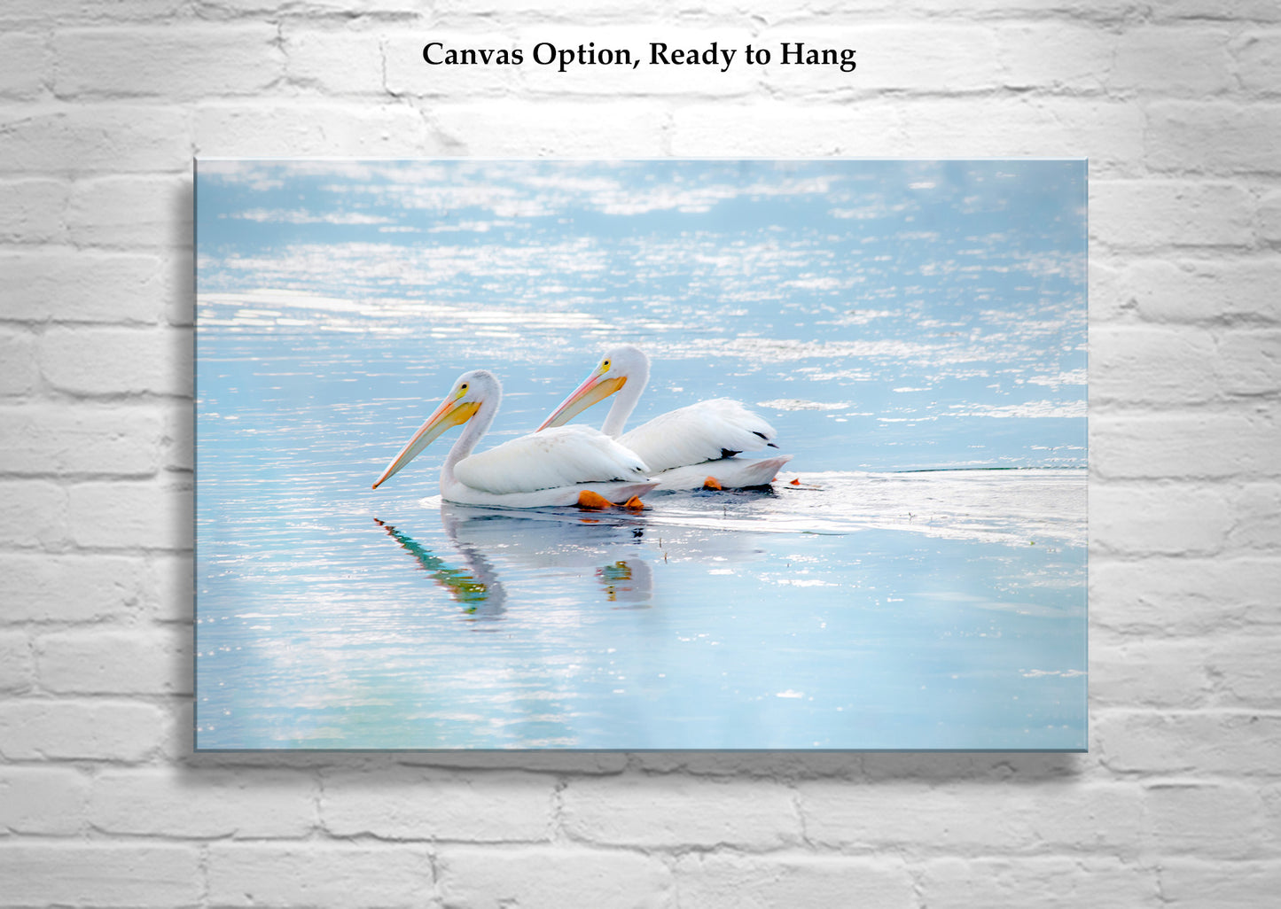 White Pelican Bird Art as Dreamy Wetlands Wildlife Decor | Klamath Refuge