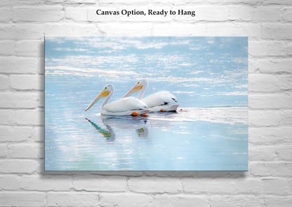 White Pelican Bird Art as Dreamy Wetlands Wildlife Decor | Klamath Refuge