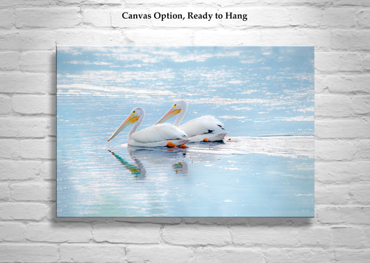 White Pelican Bird Art as Dreamy Wetlands Wildlife Decor | Klamath Refuge