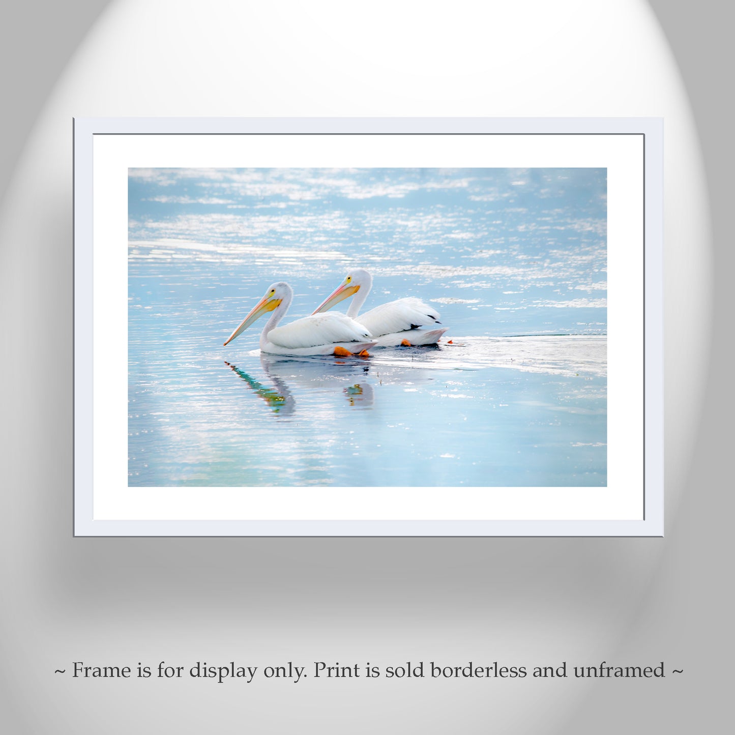 White Pelican Bird Art as Dreamy Wetlands Wildlife Decor | Klamath Refuge