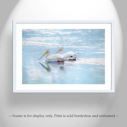 White Pelican Bird Art as Dreamy Wetlands Wildlife Decor | Klamath Refuge