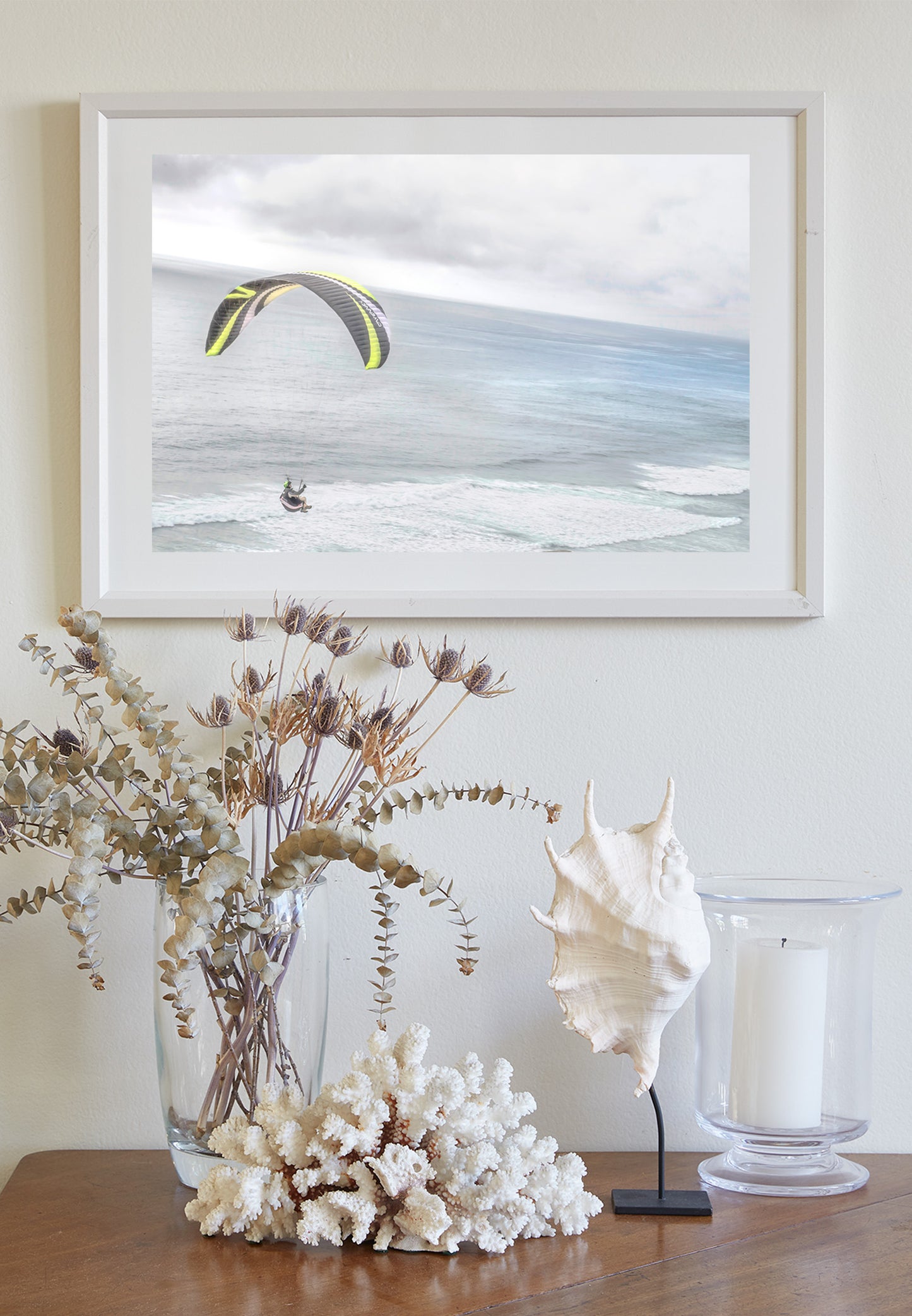 Paraglider Picture at Torrey Pines San Diego California Coast