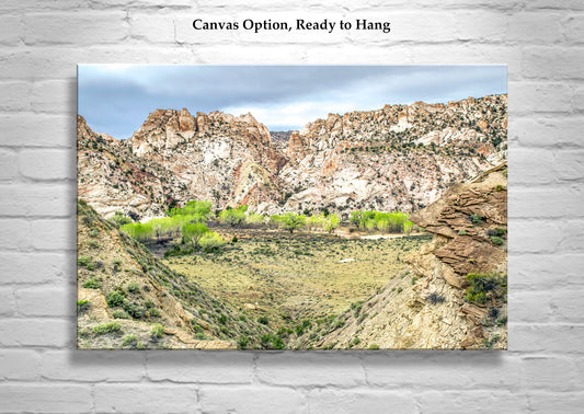 Utah Landscape Art Photo Print with Paria River Canyon