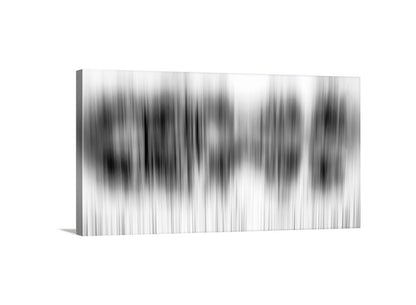 Black & White Abstract Panoramic Canvas | Surreal Wall Art