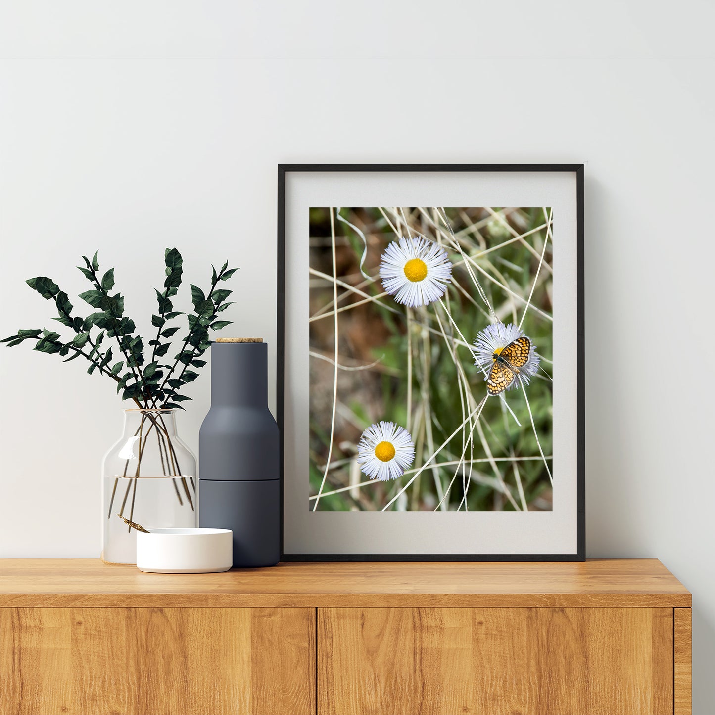 Butterfly & Wildflower Fine Art Print | Arizona Nature Photo