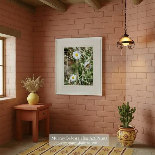 Butterfly on a white flower with a blurred background. Butterfly Wall Decor with Flowers | Charming Arizona Nature Photo by Murray Bolesta