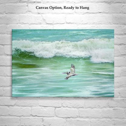 Pelican Seabird Bird in Flight Art from San Diego Beach