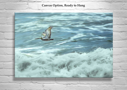 Flying Pelican Wall Art Print at Pacific Ocean San Diego California
