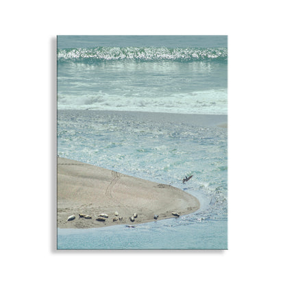 Mendocino Ocean Art Print with Sea Lions and Pelican Birds
