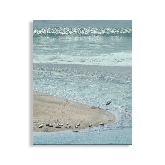 Mendocino Ocean Art Print with Sea Lions and Pelican Birds