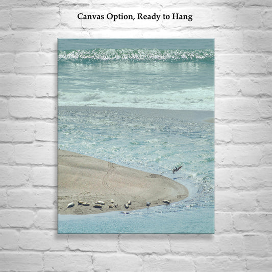 Mendocino Ocean Art Print with Sea Lions and Pelican Birds