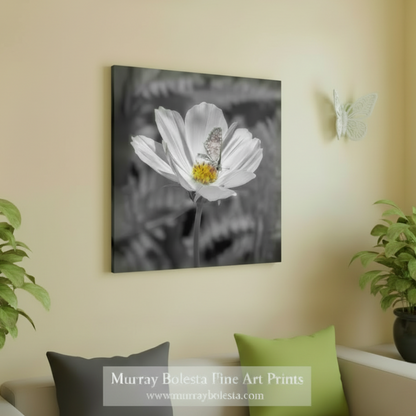 A square canvas wall art print depicting a white flower with a butterfly in black and white, styled on a beige wall above a sofa with green and gray pillows. By Murray Bolesta.