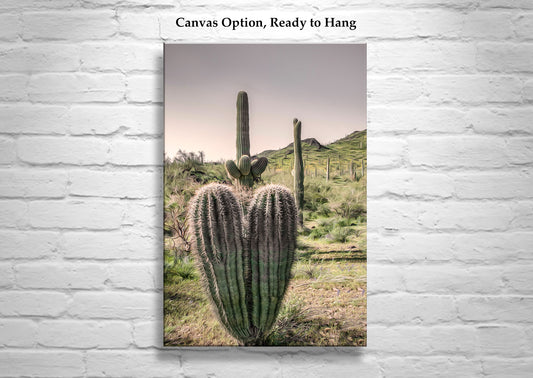 Arizona Cactus Landscape Art – Saguaro at Picacho Peak State Park