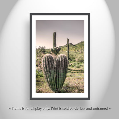 Arizona Cactus Landscape Art – Saguaro at Picacho Peak State Park