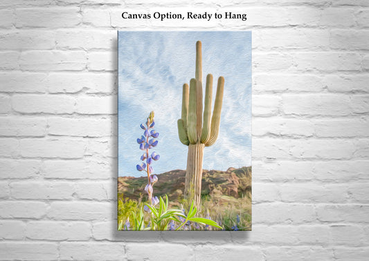 Picacho Peak Tucson Arizona Cactus Art Print with Spring Wildflowers