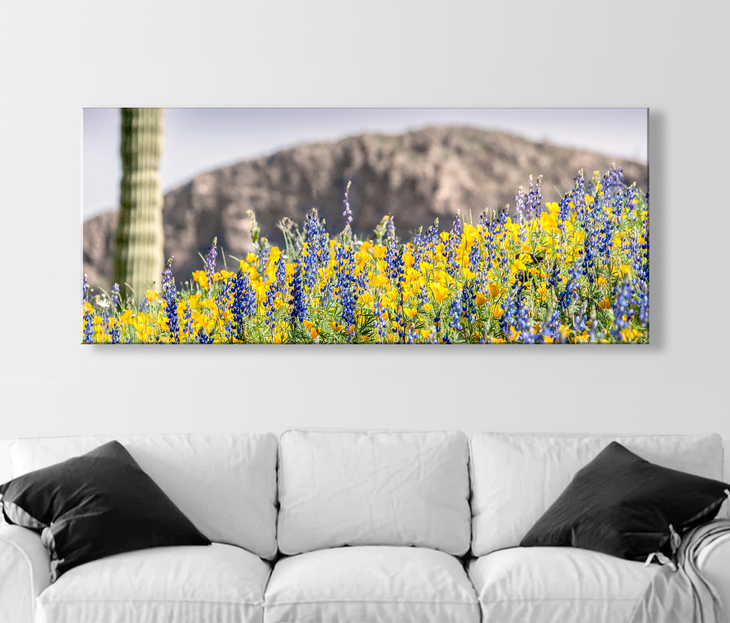 Arizona Desert Wildflower Panorama with Tucson Cactus Landscape
