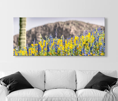 Arizona Desert Wildflower Panorama with Tucson Cactus Landscape
