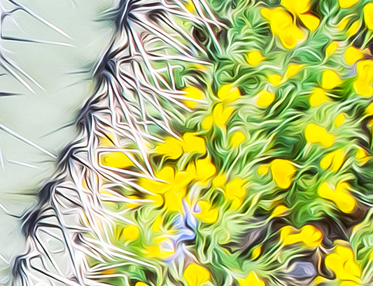 Desert Art of Saguaro Cactus and Wildflowers at Picacho Peak Arizona