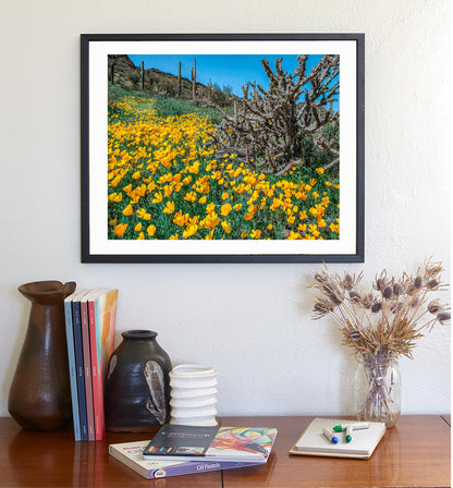 Picacho Peak Arizona Poppies Print as Spring Desert Botanical Art