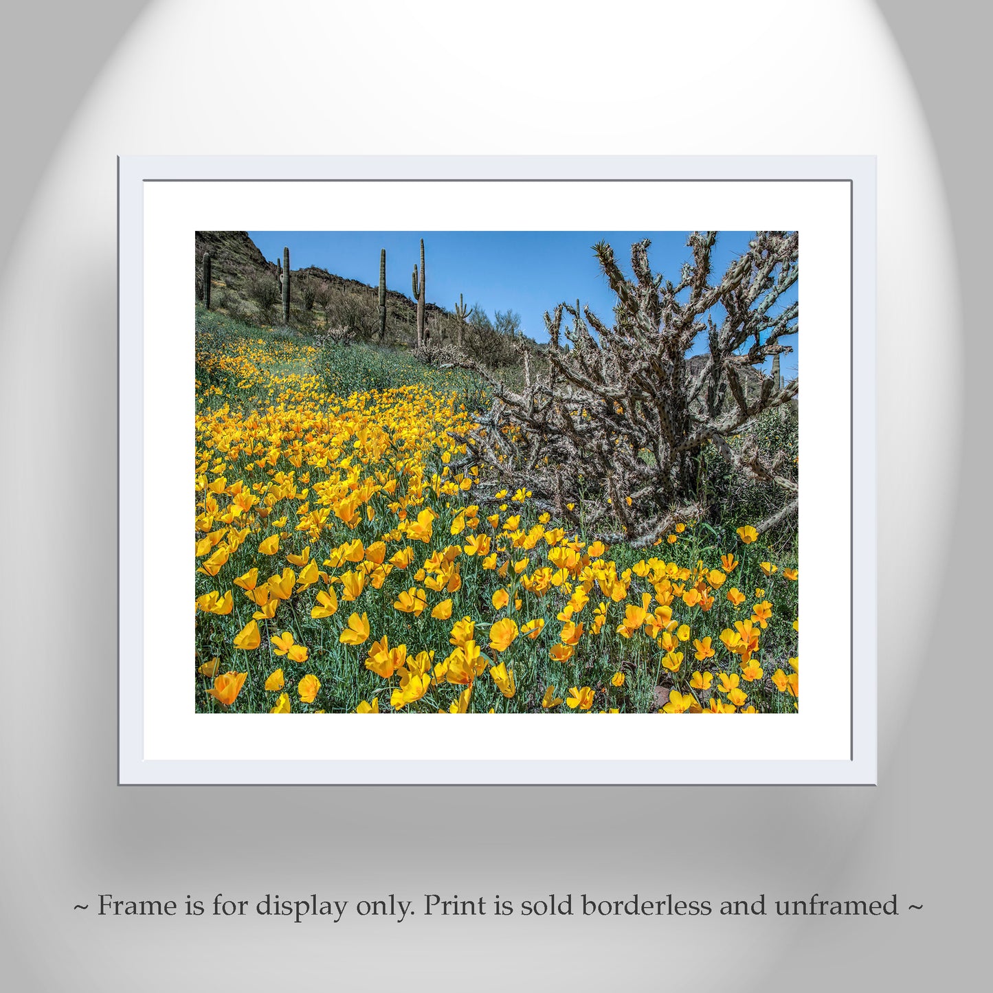 Picacho Peak Arizona Poppies Print as Spring Desert Botanical Art
