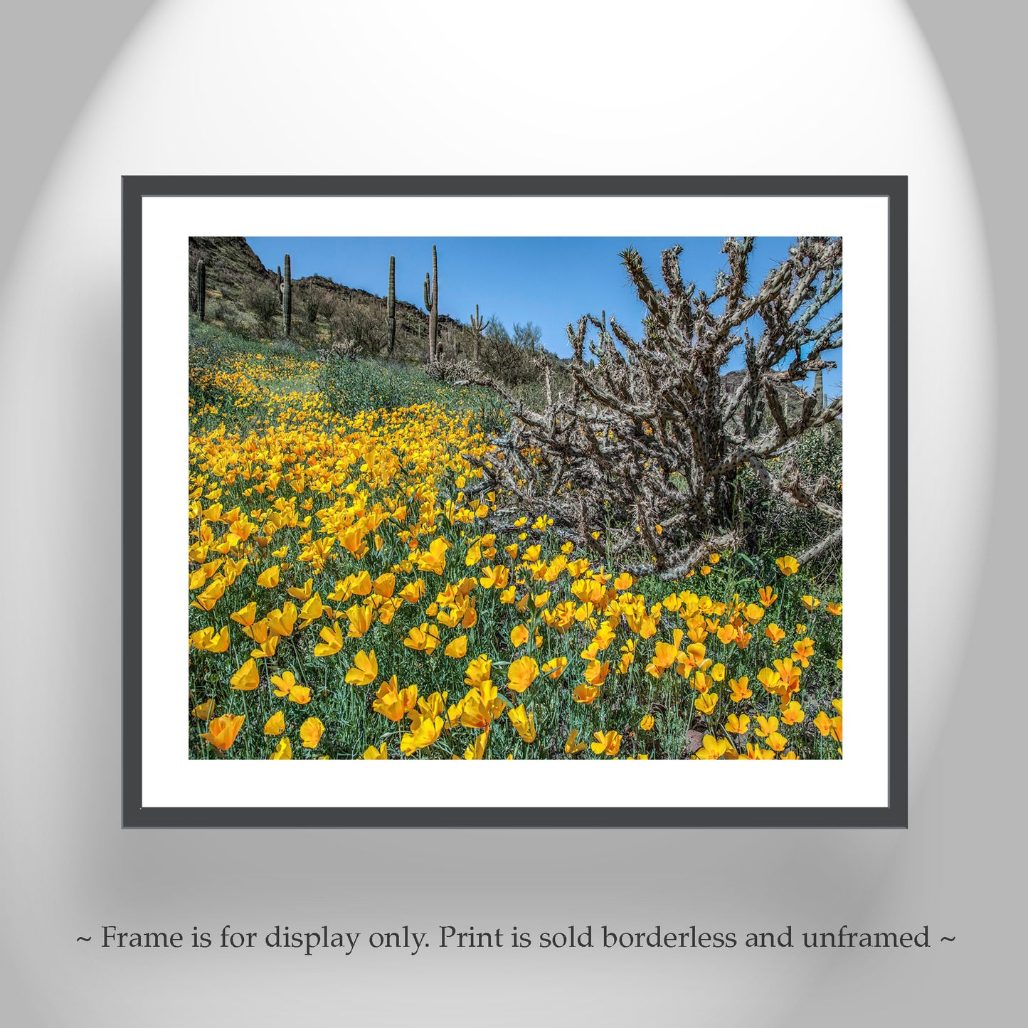 Picacho Peak Arizona Poppies Print as Spring Desert Botanical Art