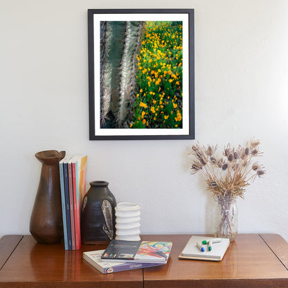 Picacho Peak State Park Arizona Cactus & Wildflowers Nature Art