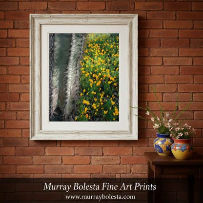 Cactus with yellow flowers on a white background by Murray Bolesta