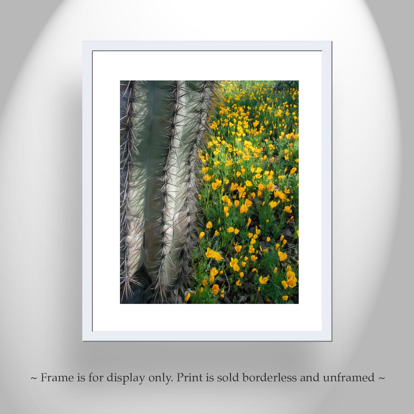 Picacho Peak State Park Arizona Cactus & Wildflowers Nature Art
