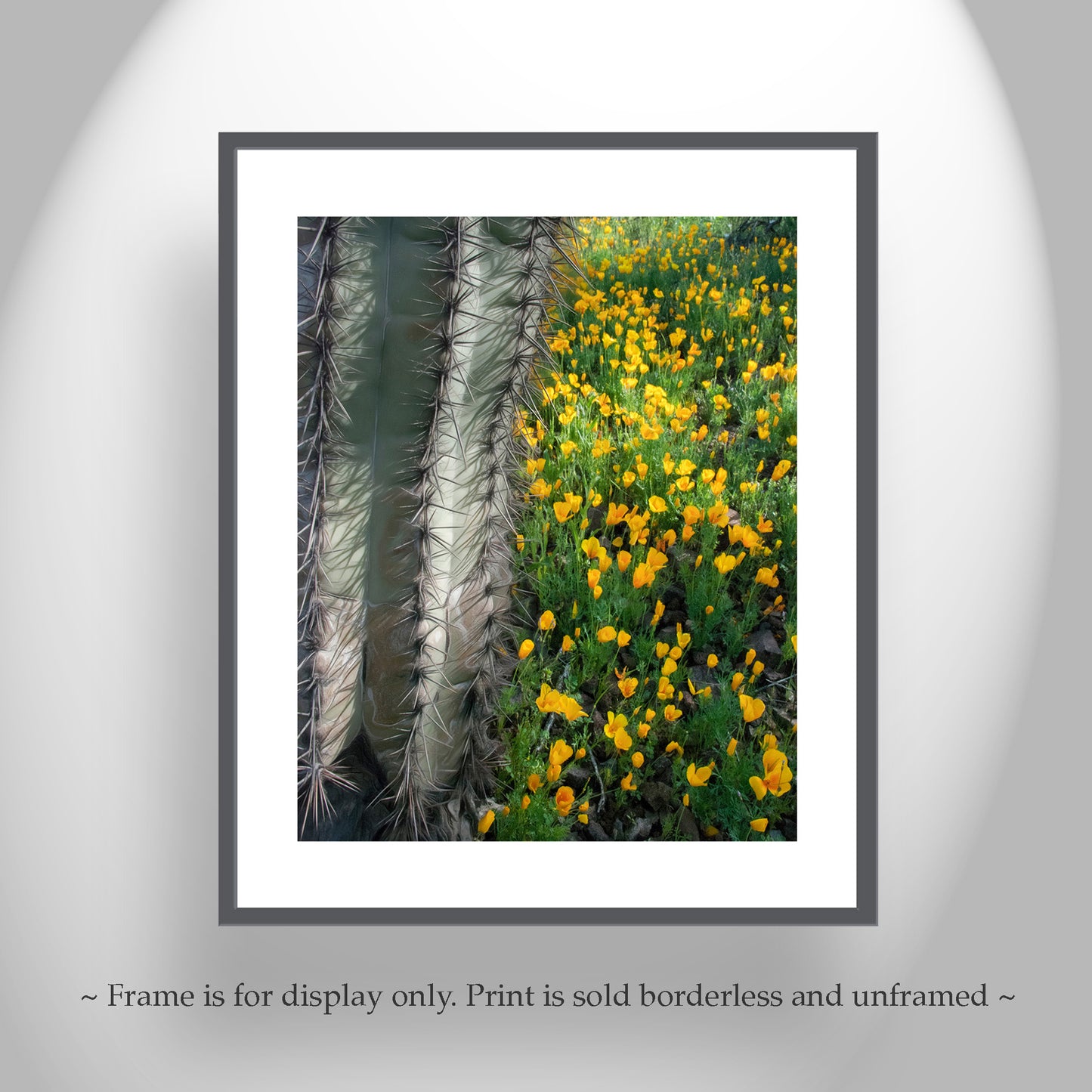 Picacho Peak State Park Arizona Cactus & Wildflowers Nature Art