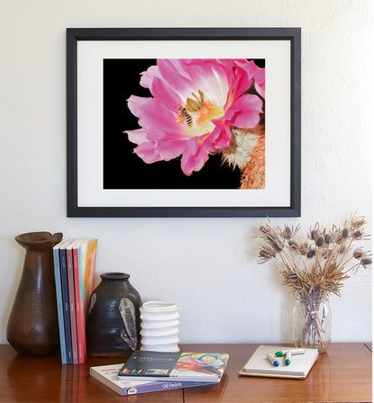 Bumble Bee on Arizona Cactus Flower Photo | Southwest Botanical Art