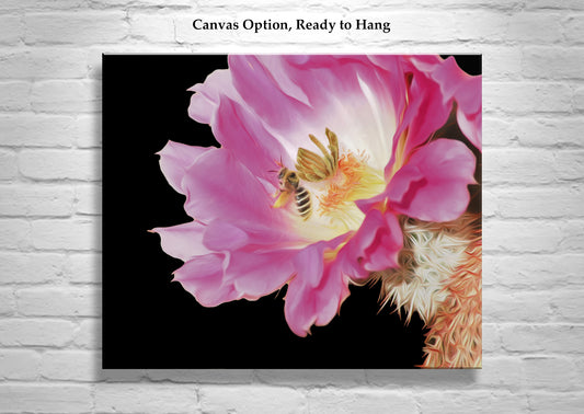 Bumble Bee on Arizona Cactus Flower Photo | Southwest Botanical Art