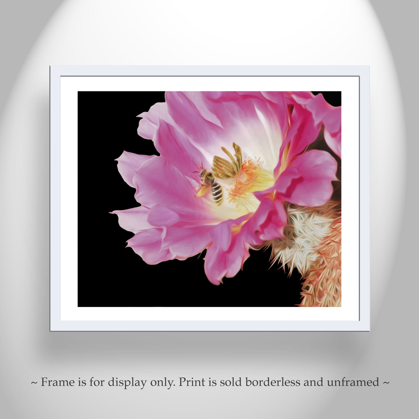 Bumble Bee on Arizona Cactus Flower Photo | Southwest Botanical Art