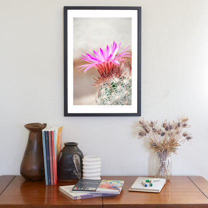 Cactus Flower Art Print in Pastel | Arizona Desert Wildflower Wall Decor
