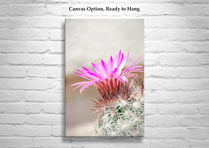 Cactus Flower Art Print in Pastel | Arizona Desert Wildflower Wall Decor