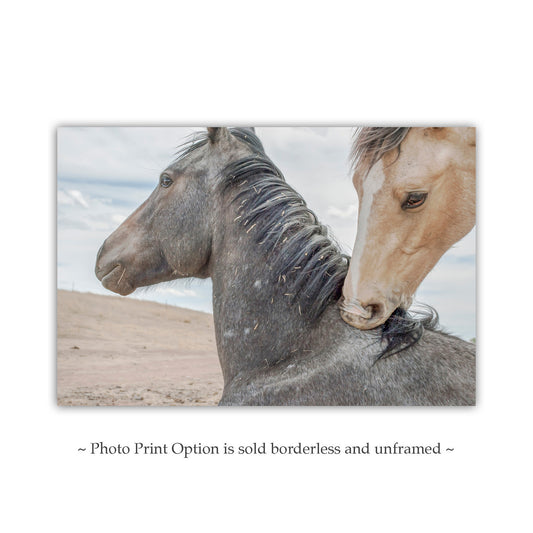 Horse Art Print as Equestrian Wall Decor from Arizona Mexico Border Ranch