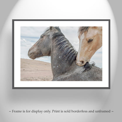 Horse Art Print as Equestrian Wall Decor from Arizona Mexico Border Ranch