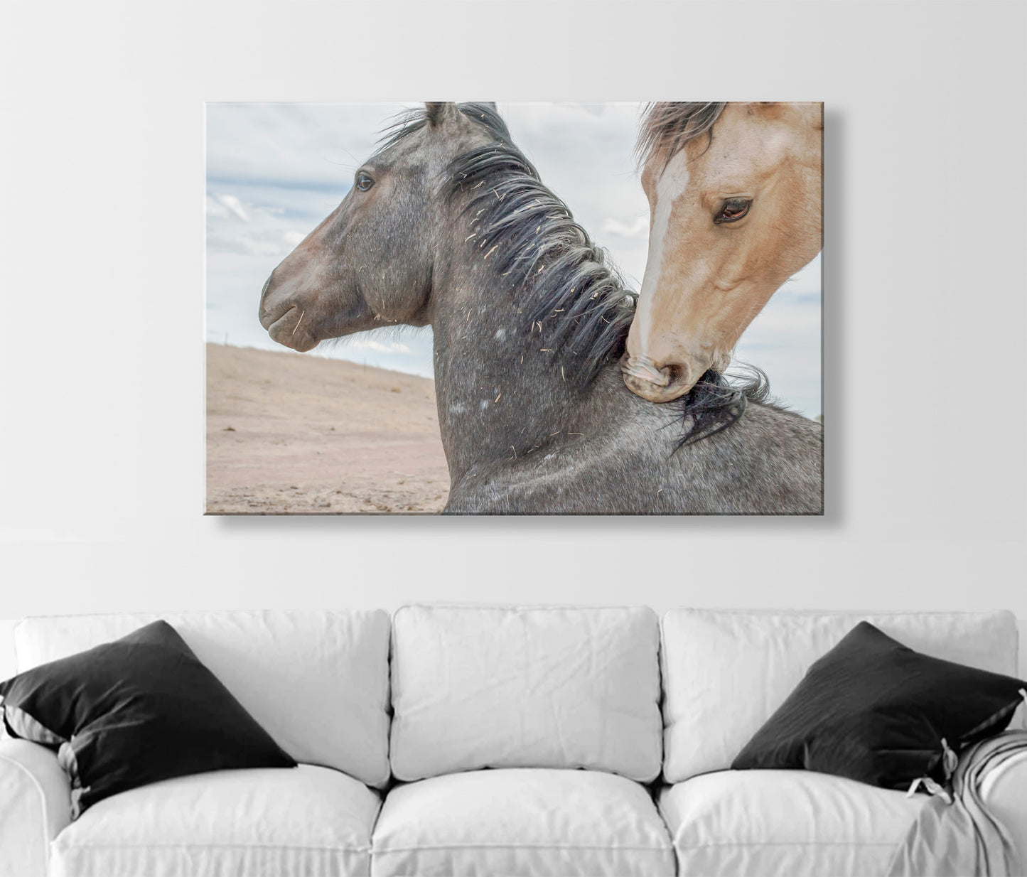 Horse Art Print as Equestrian Wall Decor from Arizona Mexico Border Ranch