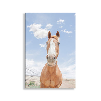 Horse standing in a field with a blue sky and clouds in the background. Horse Art Print with Arizona Prairie Landscape as Ranch Style Wall Decor