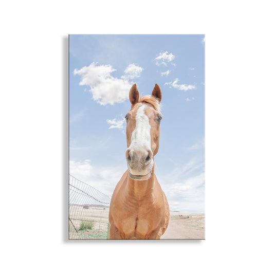 Horse standing in a field with a blue sky and clouds in the background. Horse Art Print with Arizona Prairie Landscape as Ranch Style Wall Decor