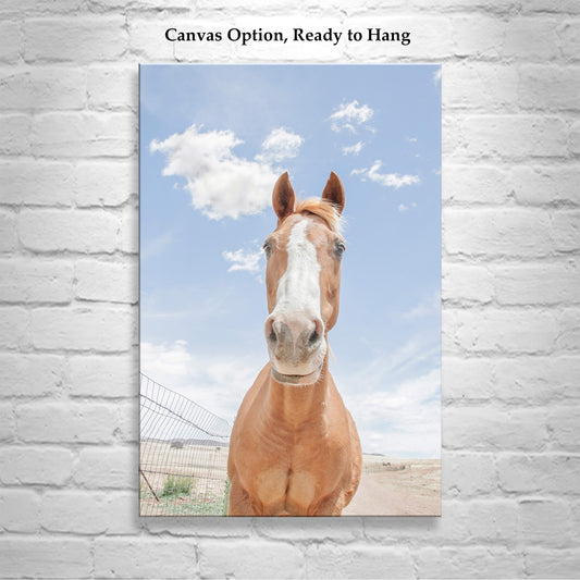 Horse Art Print with Arizona Prairie Landscape as Ranch Style Wall Decor