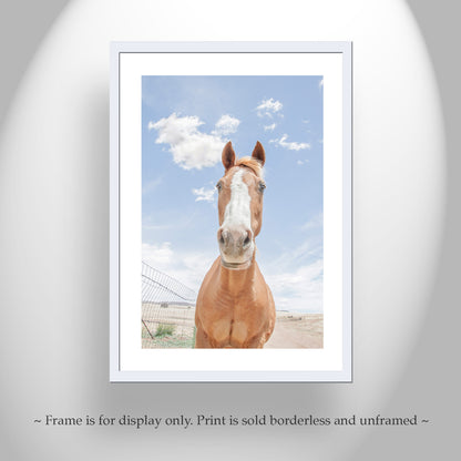 Horse Art Print with Arizona Prairie Landscape as Ranch Style Wall Decor