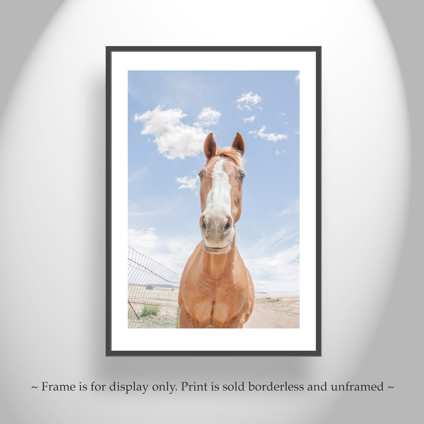Horse Art Print with Arizona Prairie Landscape as Ranch Style Wall Decor