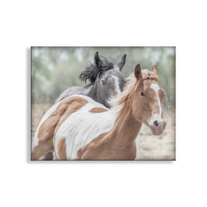 Two horses standing close together with a blurred background. Horse Photograph Art Print with Frisky Horses as Equestrian Decor
