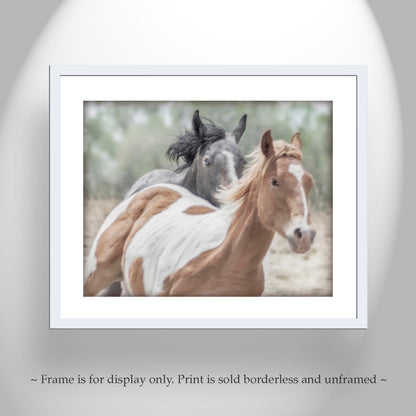 Horse Photograph Art Print with Frisky Horses as Equestrian Decor