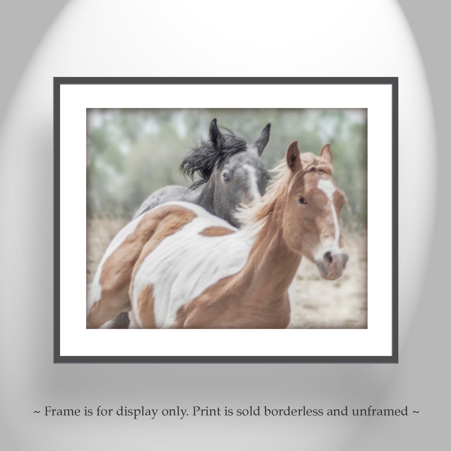 Horse Photograph Art Print with Frisky Horses as Equestrian Decor